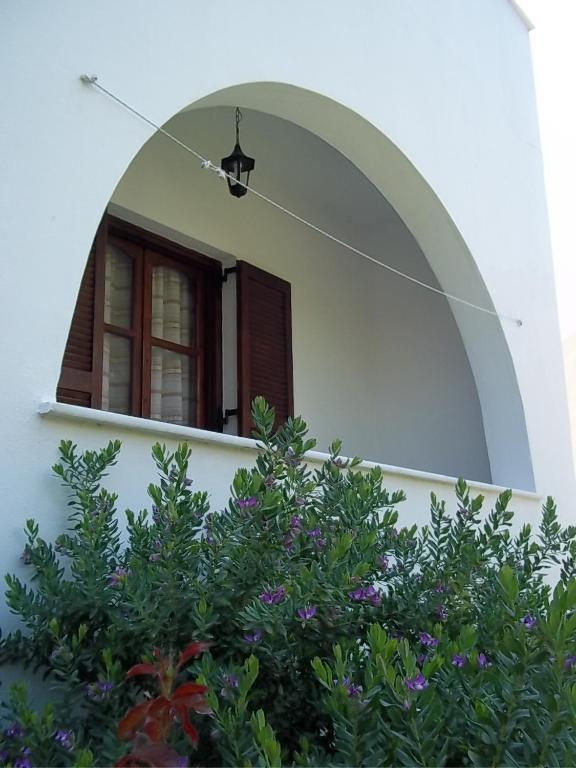 Katerina Studios Naxos City Pokój zdjęcie