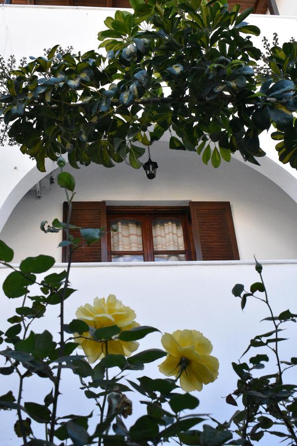 Katerina Studios Naxos City Zewnętrze zdjęcie